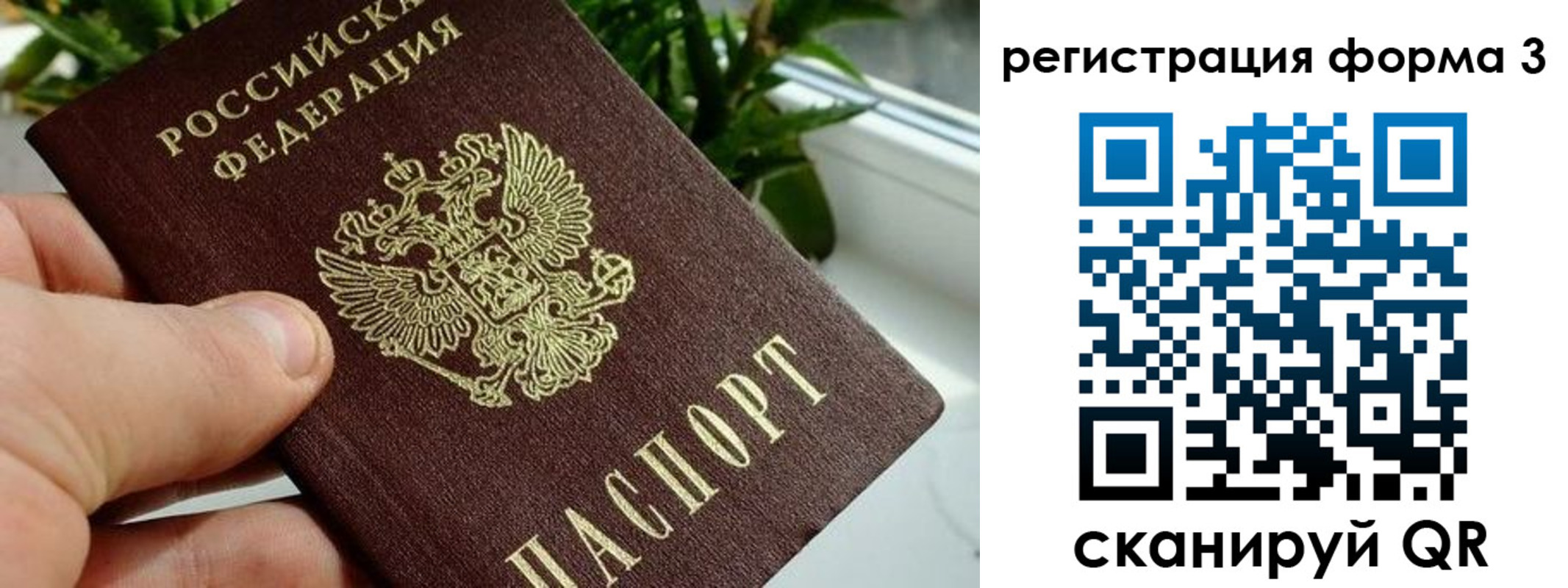 прописка штамп в Боровичах